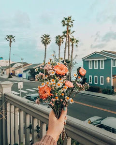 Meet your Posher, Phoebe grace